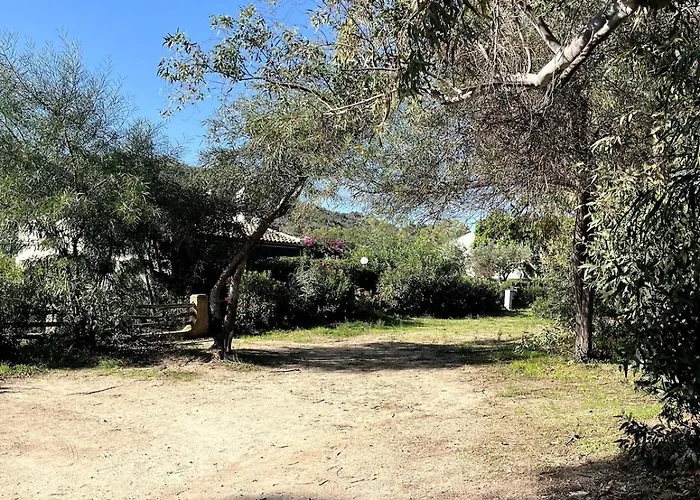 Solemari - 100m From The *
