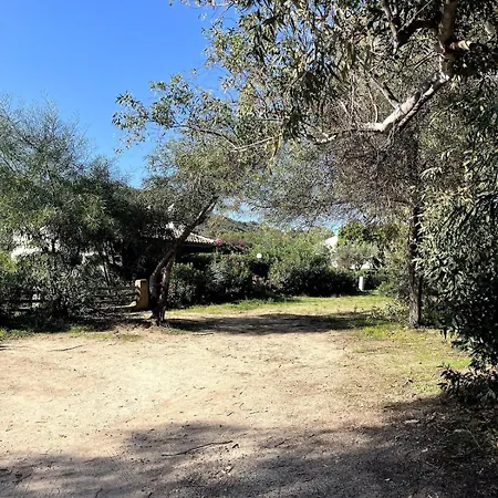 Solemari - 100m From The *